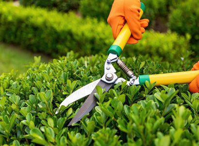 Umweltfreundliche Gartengestaltungsideen